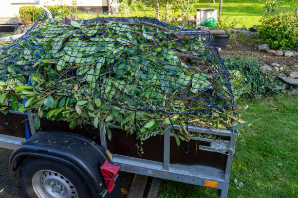 Best Electronics and E-Waste Disposal  in Walled Lake, MI